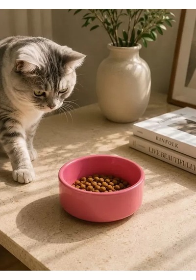 Hubrendy Sh Kase Model Beton Kedi Köpek Mama Ve Su Kabı 15cm Çap 5cm - Pembe