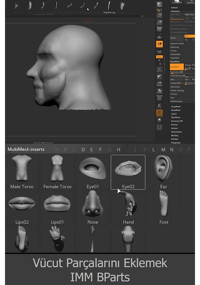 ZBrush Video Ders Eğitim Seti