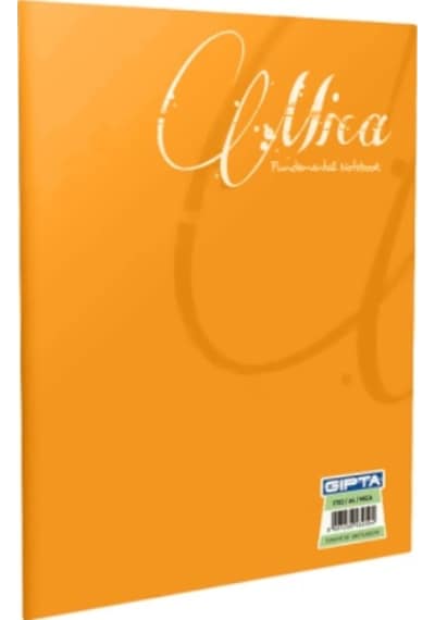 Gıpta Mica Tel Dikişli Plastik Kapak Defter A5 100 Yaprak Çizgili