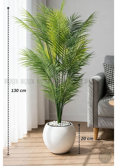 Biçiçek Areka Ağaci 24 Yapraklı 130 Cm Beyaz Küre Saksıda