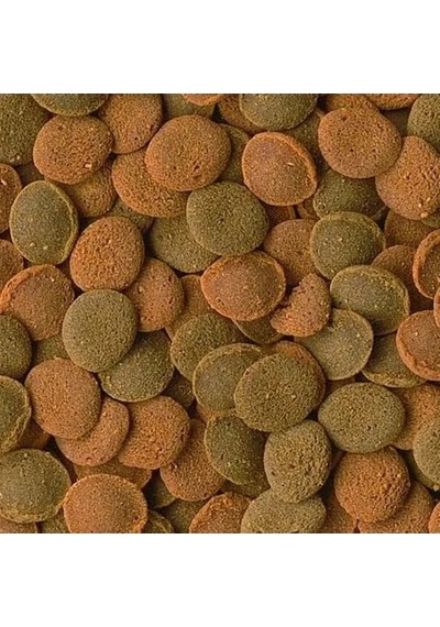 100ml Wafer Karışımı, 48 Gr Ağırlığında