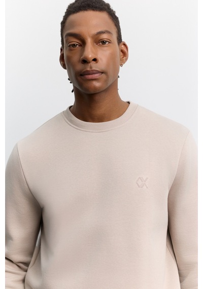 Avva Erkek Taş Bisiklet Yaka 3 İplik Şardonlu -5 Dereceye Dayanıklı Regular Fit Sweatshirt A62y1291