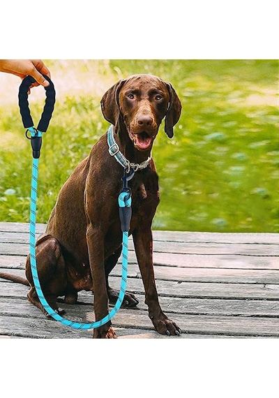 Buffer Reflektörlü Fosforlu Köpek Gezdirme Halatı Tasma Kayışı Metal Kancalı 130 CM Mavi