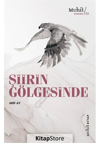 Şiirin Gölgesinde / Arif Ay