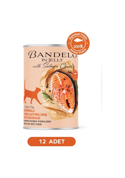 Somonlu Kısırlaştırılmış Yetişkin Kedi Konserve Yaş Maması - Jöle İçinde Parça Etli, 400 Gr X 12 Adet