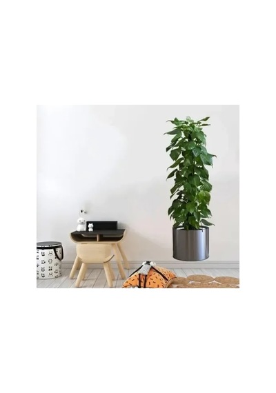 Lb Saksılı Bitki Tasarımlı Yapışkanlı Sticker Resim 90 30 Cm Mc-665