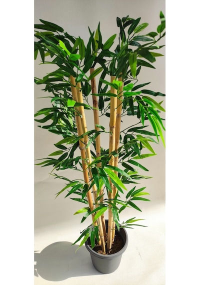 Rüzgar Yapay Çiçekçilik 110 Cm 5 Li Yuvarlak Bambu Yeşil