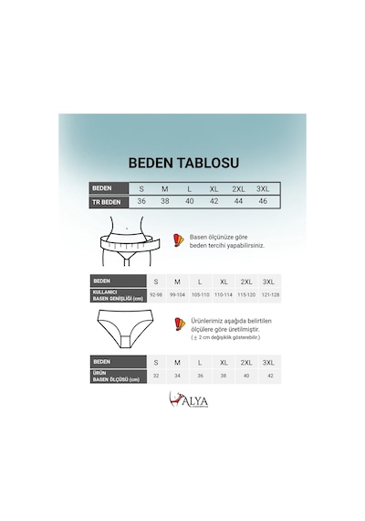 Alya Underwear Kadın Pamuklu Hipster - Slip Külot 5 Farklı Renk 1 Pakette Multicolor-p10