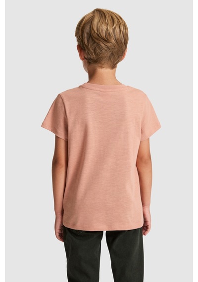 U.S. Polo Assn. U.s. Polo Assn. Erkek Çocuk Pudra Tişört 50327000-vr042