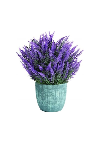 Tohumculuk Lavanta Çiçeği Tohumu Ata Tohum