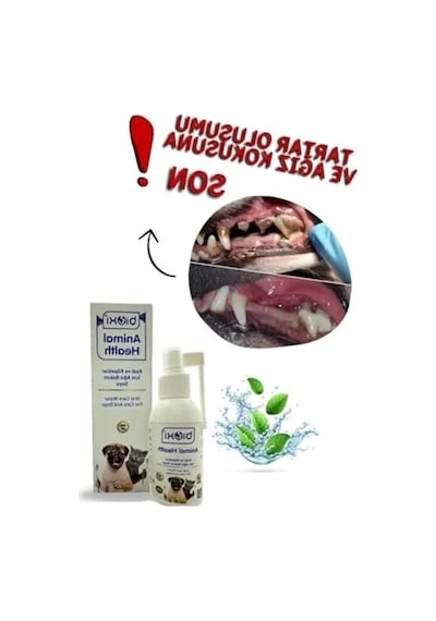 Kedi Ve Köpekler İçin Ağız Bakım Suyu, 100 Ml
