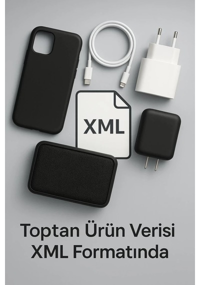 Online Çıktı Hizmeti/xml 1 Yıllık