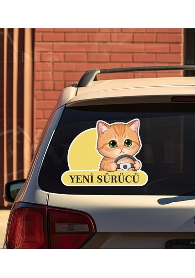 Yeni Sürücü Sevimli Kedi Araba Etiketi & Sticker - Çok Renkli - 20x15 Cm - Kendinden Yapışkanlı Abanoz