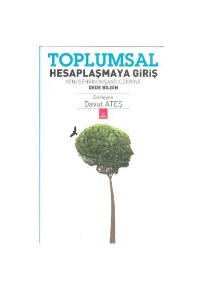 Toplumsal Hesaplaşmaya Giriş - Davut Ateş - Dora Yayıncılık