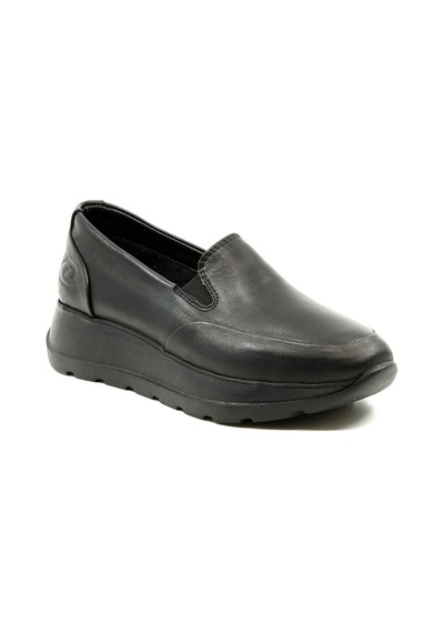 Dexter Tp2380-61 Çok Renkli