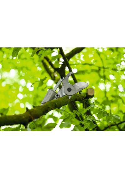 Bosch GGP 18V-45 EP 3.2 M Teleskopik Akülü Dal Budama Solo 06008D8002
