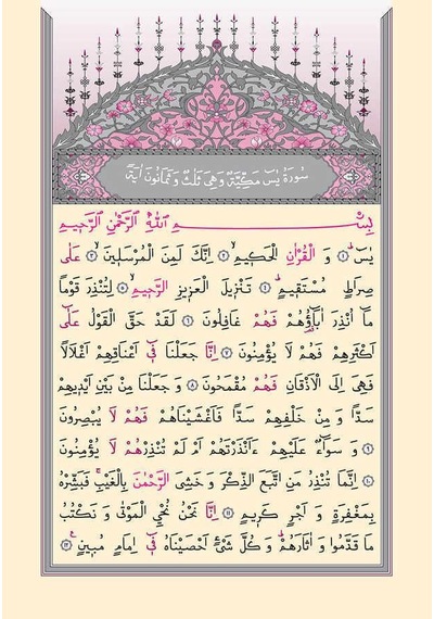 Cami Boy Yasin-i Şerif Cüzü Mealli
