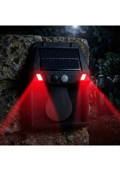 Panther Pt-2971 Solar Led Duvar Lambası Yok