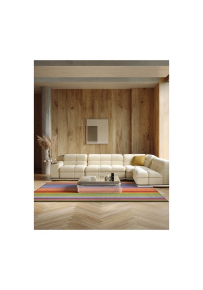 Pantone 62 Çizgili Tasarım Renkli Halı Modern Oturma Odası Yolluk İnce Yazlık Ev Oda Salon Halısı Renkli D