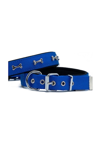 Doggie Comfort Metal Kemik İşlemeli Köpek Boyun Tasması M 2.5x37-45 CM Royal Mavi