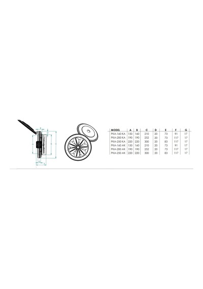 Fanex Kapaklı ve Flanşlı Aksiyal Aspiratör Havalandırma Fan 200Mm
