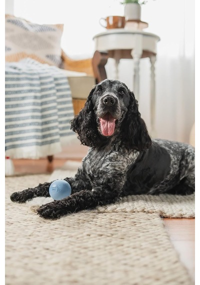 Ayrex Harry Barker Kauçuk Toplar Ve Kauçuk Çiğneme Çubuğu, Köpekler İçin Kauçuk Kemik - 2,5 İnç Kauçuk Toplar