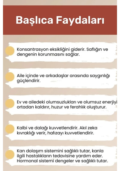 Unisex Doğal Mercan Taşı Bileklik Kırmızı Konsantrasyon Saflık Denge Nazar Çakra Bilekliği Çok Renkli