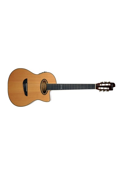 Clariss Ccg100ctnteq Elektro Klasik Gitar Natural