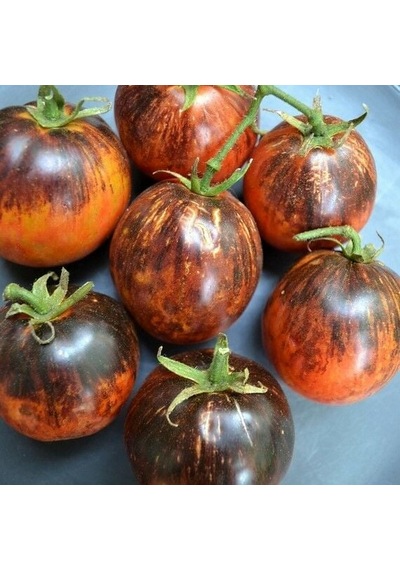 Dark Galaxy Domates Tohumu 15 Tohum 1 Paket