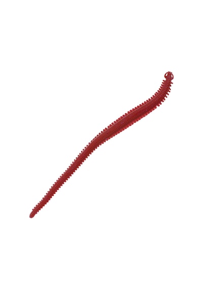 Berkley Gulp Alive Saltwater Sandworm Bloody 15cm