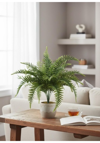 Yapay Çiçek Plastik Cycas Aşk Merdiveni Eğrelti Otu Sıkas Bitkisi 18yaprak 50 50cm Yapay Bitki Yeşil