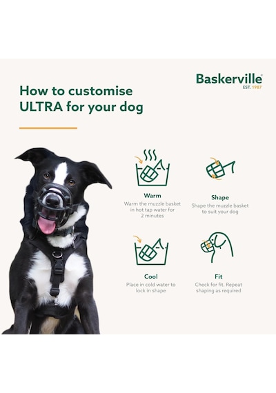 Company Of Animals Baskerville Ultra Ağızlık, Boyut 1