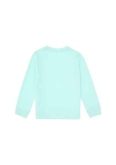 U.S. Polo Assn. Erkek Çocuk Yeşil Basic Bisiklet Yaka Sweatshirt 50313830-VR250 U.S. Polo Assn. Erkek Çocuk Yeşil Basic Bisiklet Yaka Sweatshirt 50313830-VR250