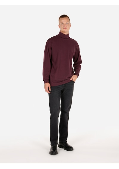 Colin's Colins Normal Kesim Balıkçı Yaka Mor Erkek Uzun Kol Tişört Cl1066054 Mor