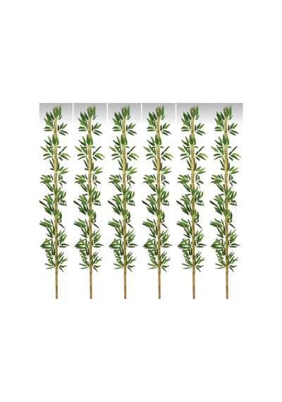 Rüzgar Yapay Çiçekçilik 2metre 6 Adet Bambu Yeşil