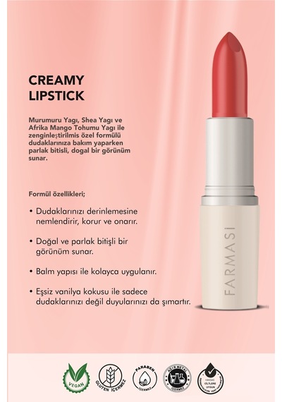 Farmasi Creamy Lipstick 13 Rubby