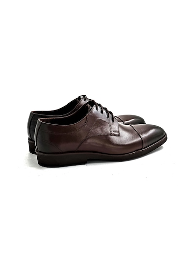 Brown Lissome