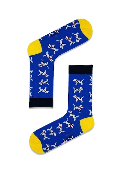 Carnaval Socks 5'li Sevimli Hayvanlar Desenli Şirin Çorap Kutusu Çok Renkli