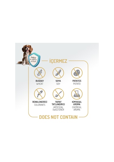 Kolajen Destekli Hipoalerjenik Somonlu Yetişkin Köpek Maması 15kg