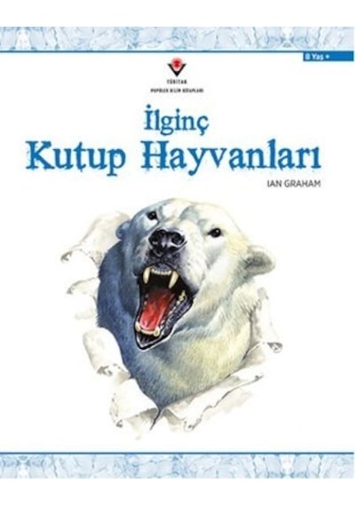 İlginç Kutup Hayvanları - Rjcı-814779