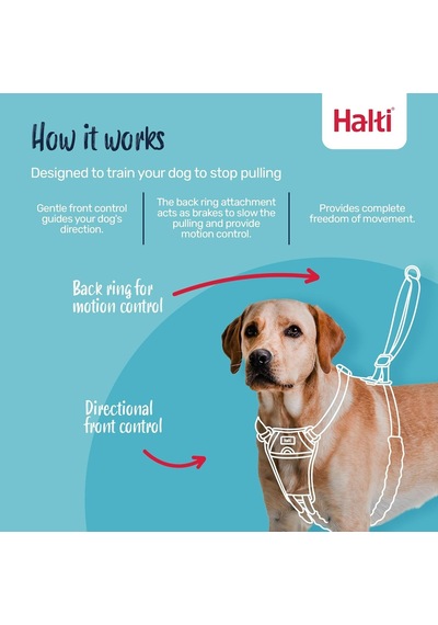 No Pull Yemek Takımı Ve Antrenman Tasması Kombi Paket, Stop Dog Pulling On Walks With Halti, Includes Medium Halti No