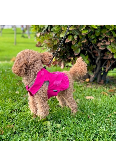 Yeni - Fuşya Renk Kot Köpek Yeleği - Küçük Irklar İçin Şık Ve Rah