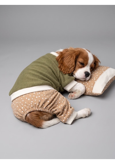 Latte & Matcha Kedi Rüyası Pamuklu Kedi Tulumu, Polar Sweatshirt Ve Mini Yastık 4 Parça