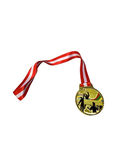 Avessa Mad-vol-2 Voleybol Figürlü Madalya 6.5 Cm Çok Renkli