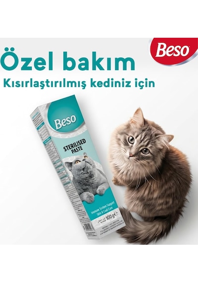 Tr Kısırlaştırılmış Kedi Macunu 100g Sterilised Paste Bağışıklık Sistemi Güçlendirici & Tüy Sağlığı