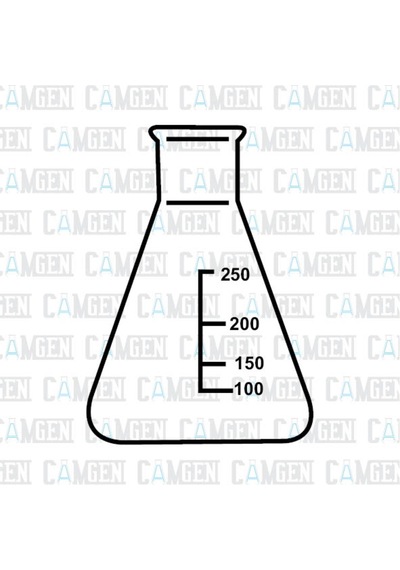 Erlen Dar Boyunlu Dereceli Cam Borosilikat 300Ml