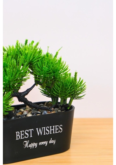 Digithome Dekoratif Kayık Saksılı Yapay Çam Ağacı Bonsai Siyah 16cm Eva-5829 C1-1-423