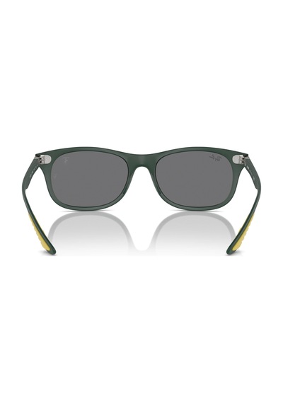 Ray-Ban 4607m F6996g 55 Erkek Güneş Gözlüğü