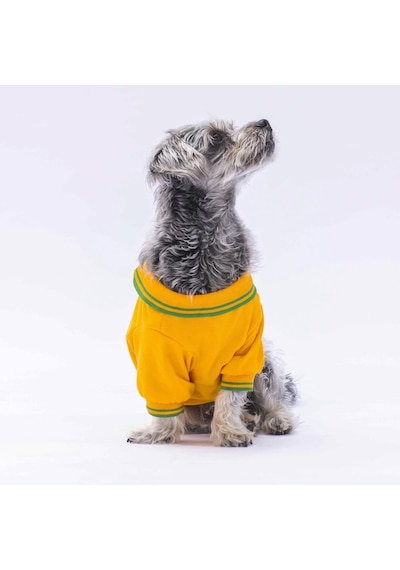 Pawstar Sarı Marine Polo Yaka Kedi Köpek Tişörtü