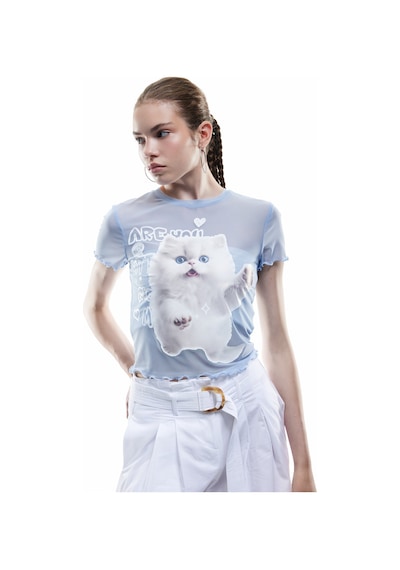 Koton Kısa Kollu Bisiklet Yaka Slim Fit Kedi Baskılı Crop Tişört Mavi 5sal10820ık Mavi Koton Kısa Kollu Bisiklet Yaka Slim Fit Kedi Baskılı Crop Tişört Mavi 5sal10820ık Mavi